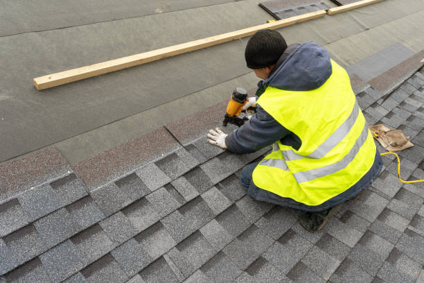 Best Roof Gutter Cleaning  in Sneads Ferry, NC